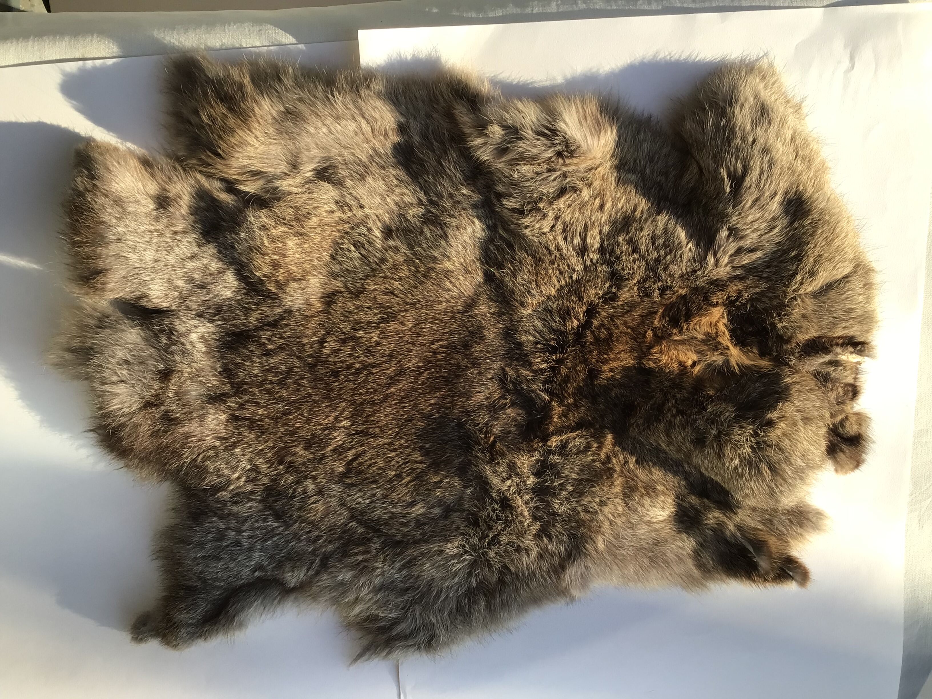Rabbit skin brown taupe