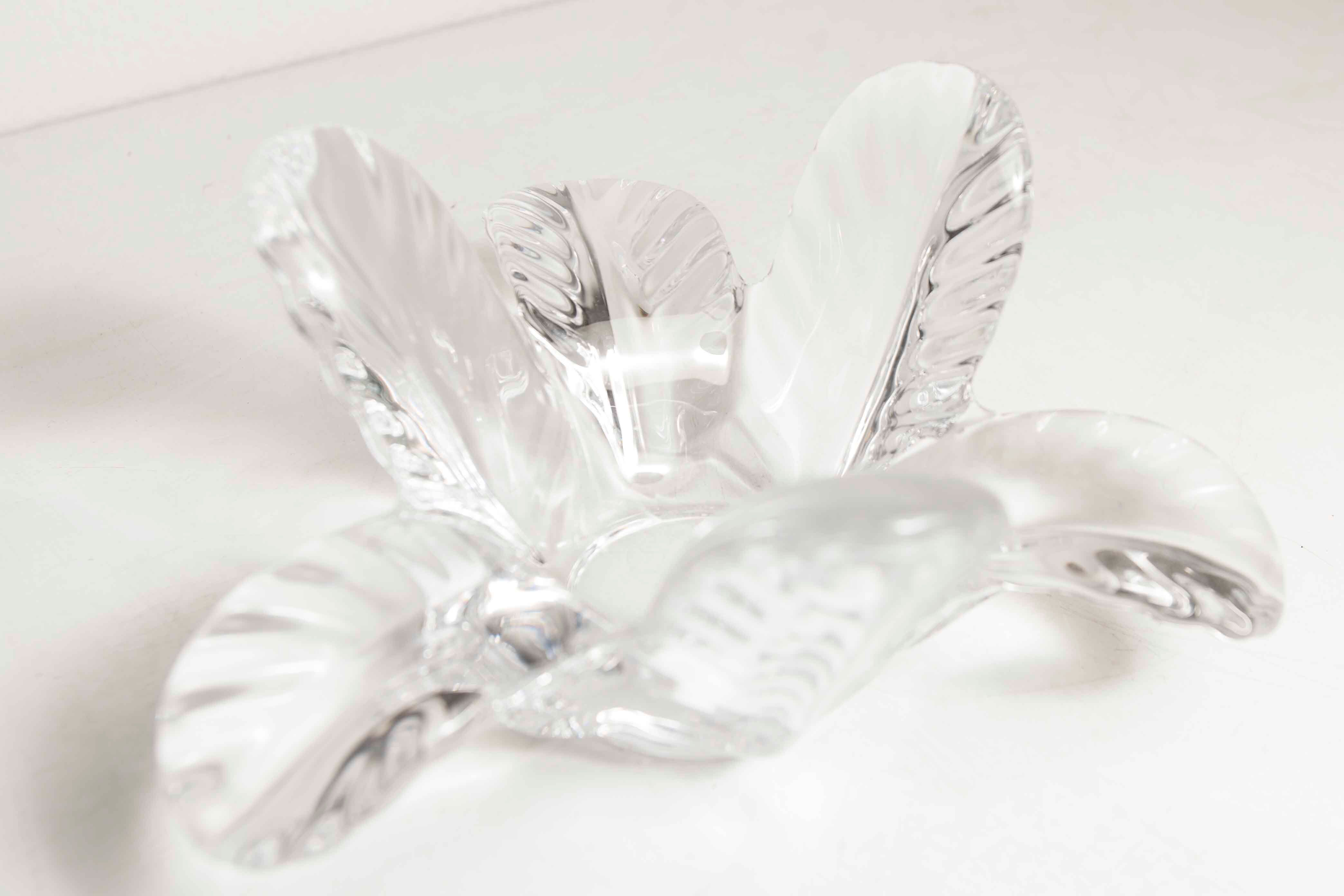 Empty floral pocket crystal of transparent arques signed