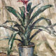 Pot flower - 1945 -oil - Japanese school by Shibata