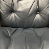 Siesta lounge chair set in Norwegian leather with ottoman by Ingmar Relling for Ekornes