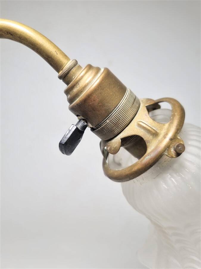Swan neck lamp