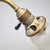 Swan neck lamp