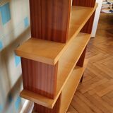 Shelf library 50s