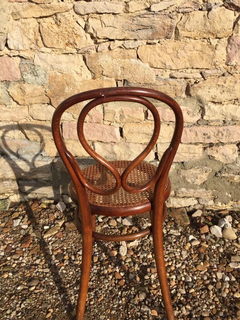 Set of 6 chairs Thonet number 20