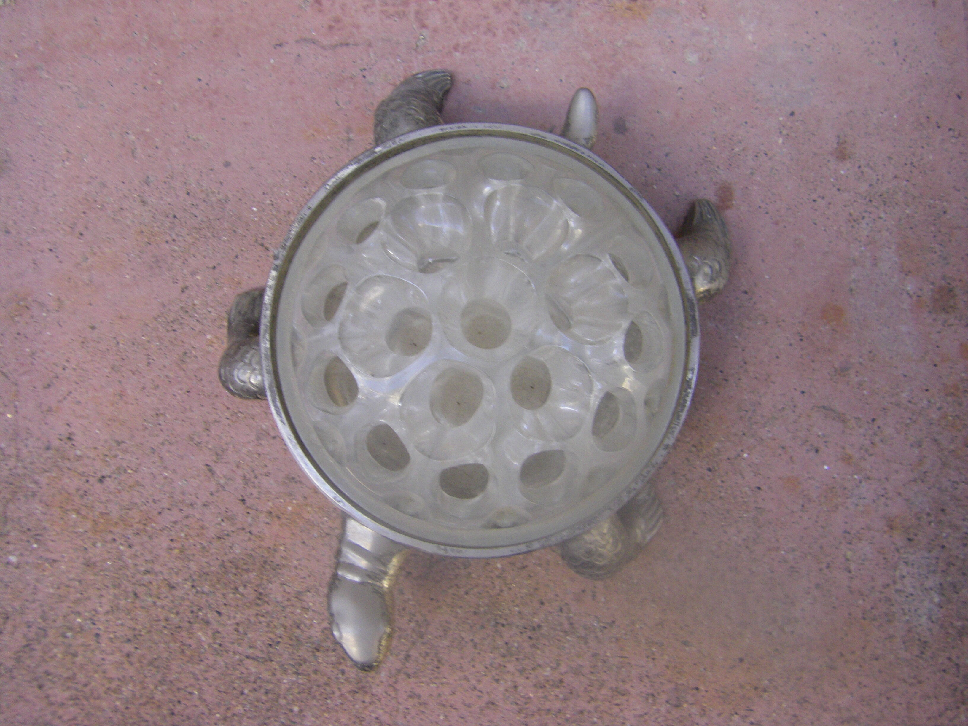 Vintage flower turtle