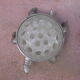 Vintage flower turtle
