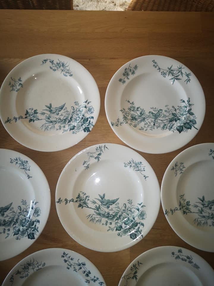 Lot 10 round plates old earthenware longwy Cute birds iron earth ø 23 cm
