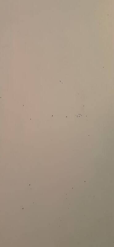 Pair of old cupboard doors h233x86cm each