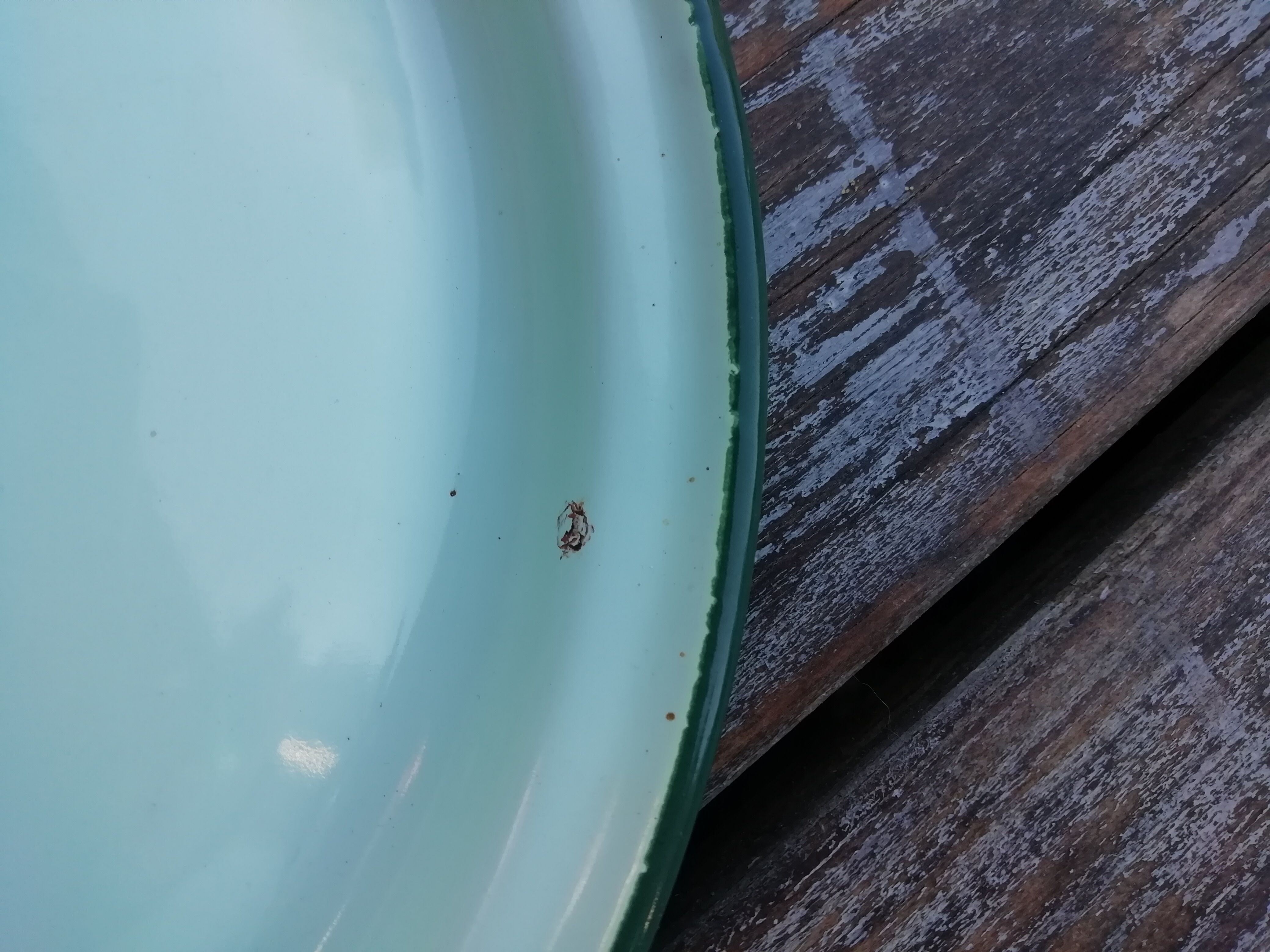 Mint green cocotte in enamelled sheet metal