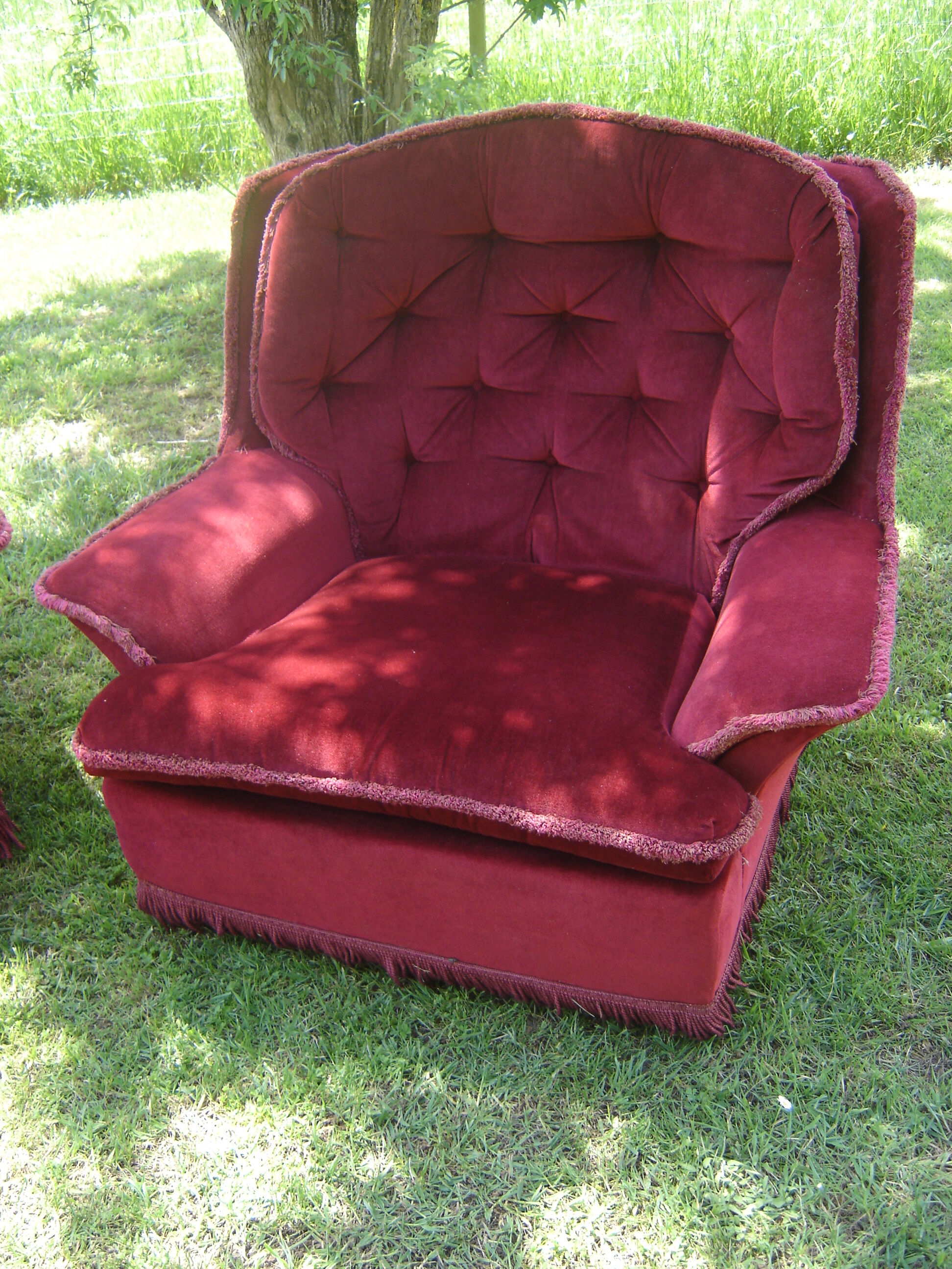 Pair of velvet chair