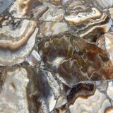 1950s Madagascar aragonite coffee table
