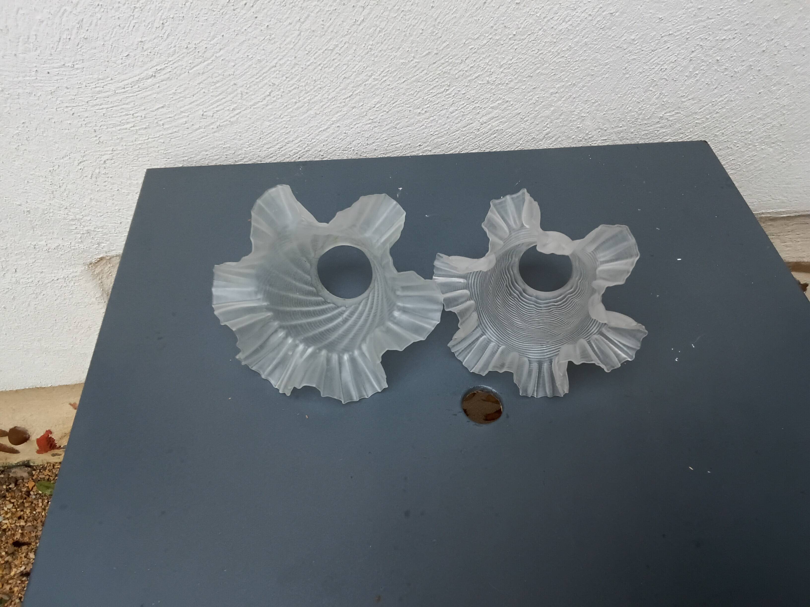 Two mismatched opalines