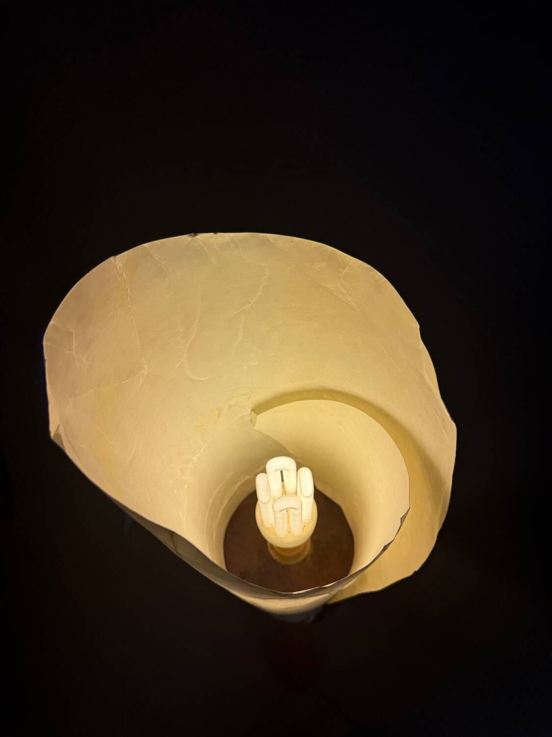 Sculptural floor lamp - exotic wood and textured shade, modern vintage style