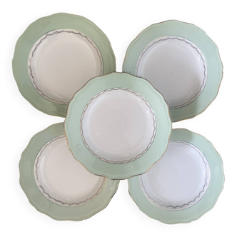 Amandinoise flat plate