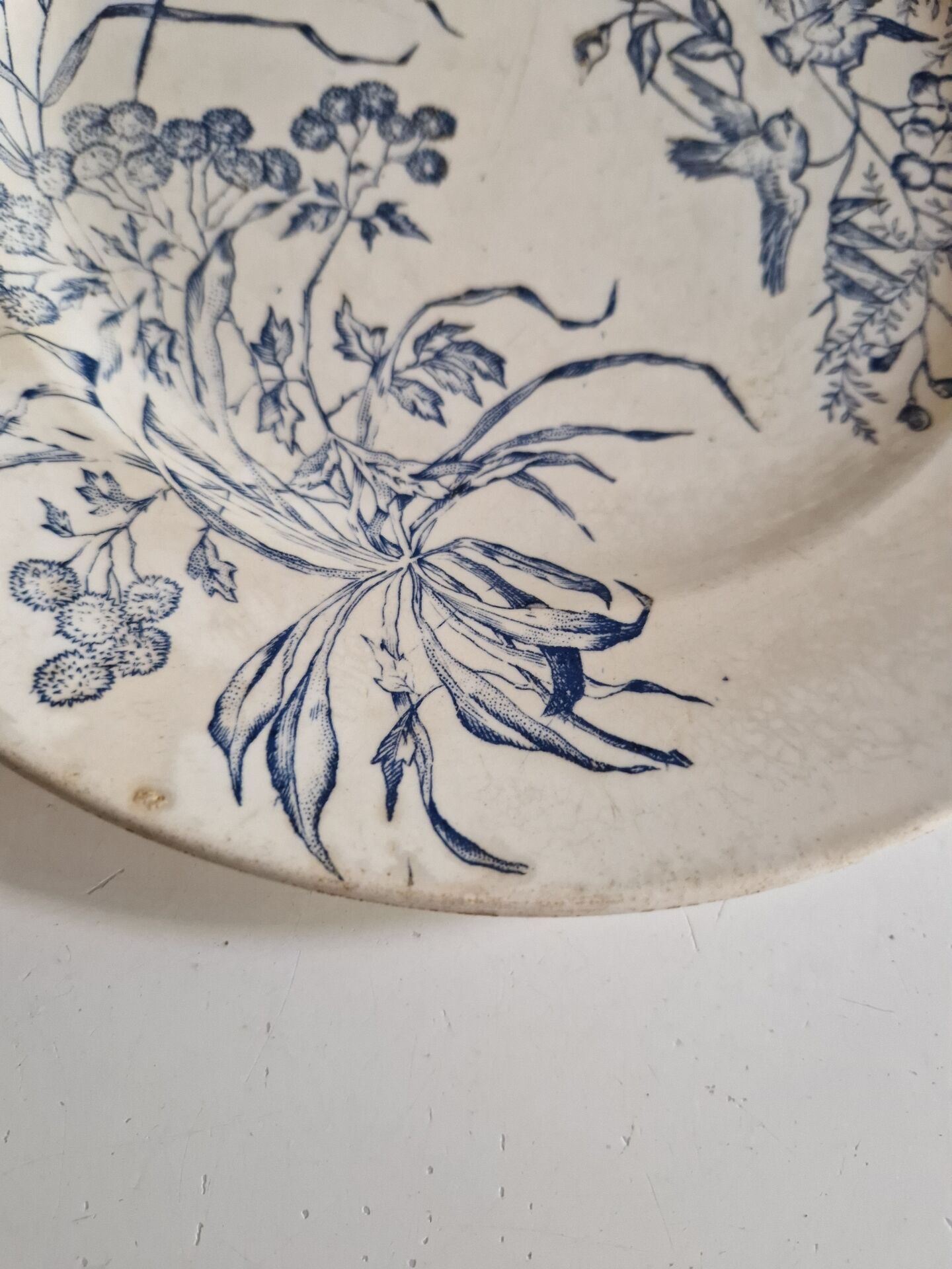 Lot De 9 Assiettes Plates Terre De Fer
