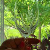 10 Arques Crystal Wine Glasses Fleury Cut Flamépis Model