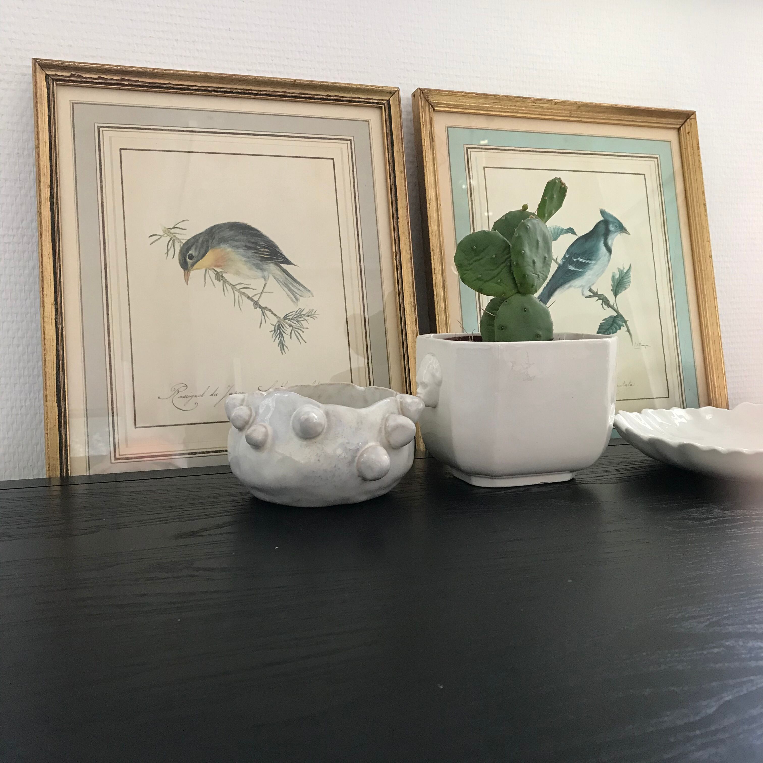 Ornithological nightingale board