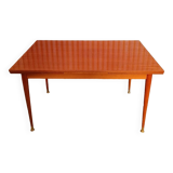 Scandinavian vintage dining table