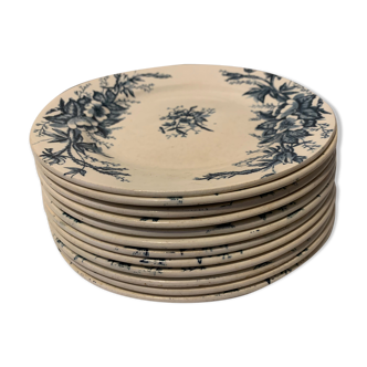 Set of 12 old blue dessert plates Eglantines, Iron Land, HB and Co.