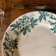 Ironstone "anemone" flat plates from Saint-Amand-les-Eaux