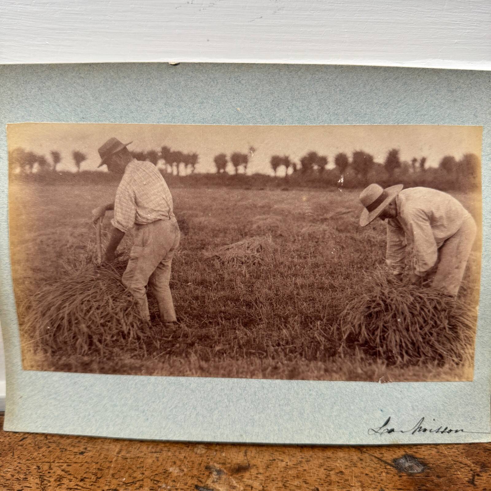 Photo albumine contrecollée sur carton représentant des moissonneurs XIXe