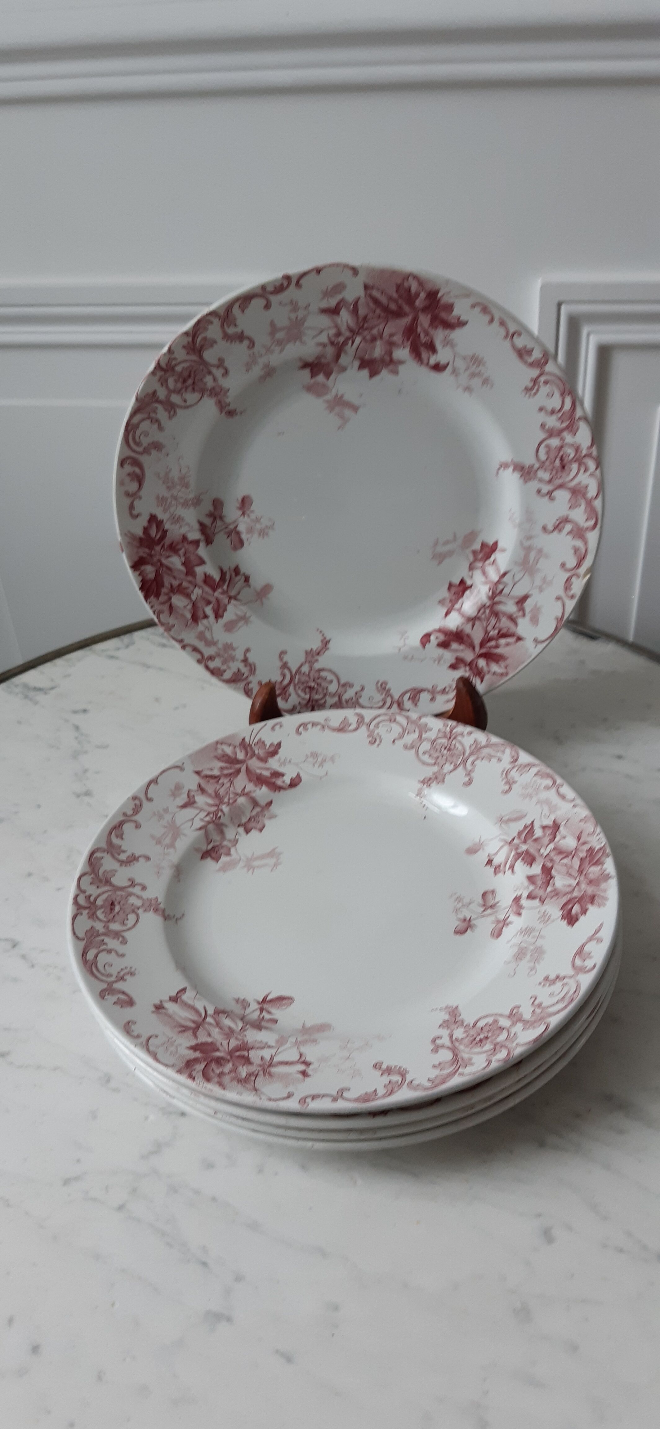Set of 5 flat plates Terre de Fer St Amand model "Campanule" mid XIXth