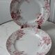 Set of 5 flat plates Terre de Fer St Amand model "Campanule" mid XIXth