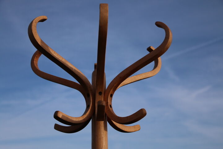 Parrot Baumann coat rack simple clear beech