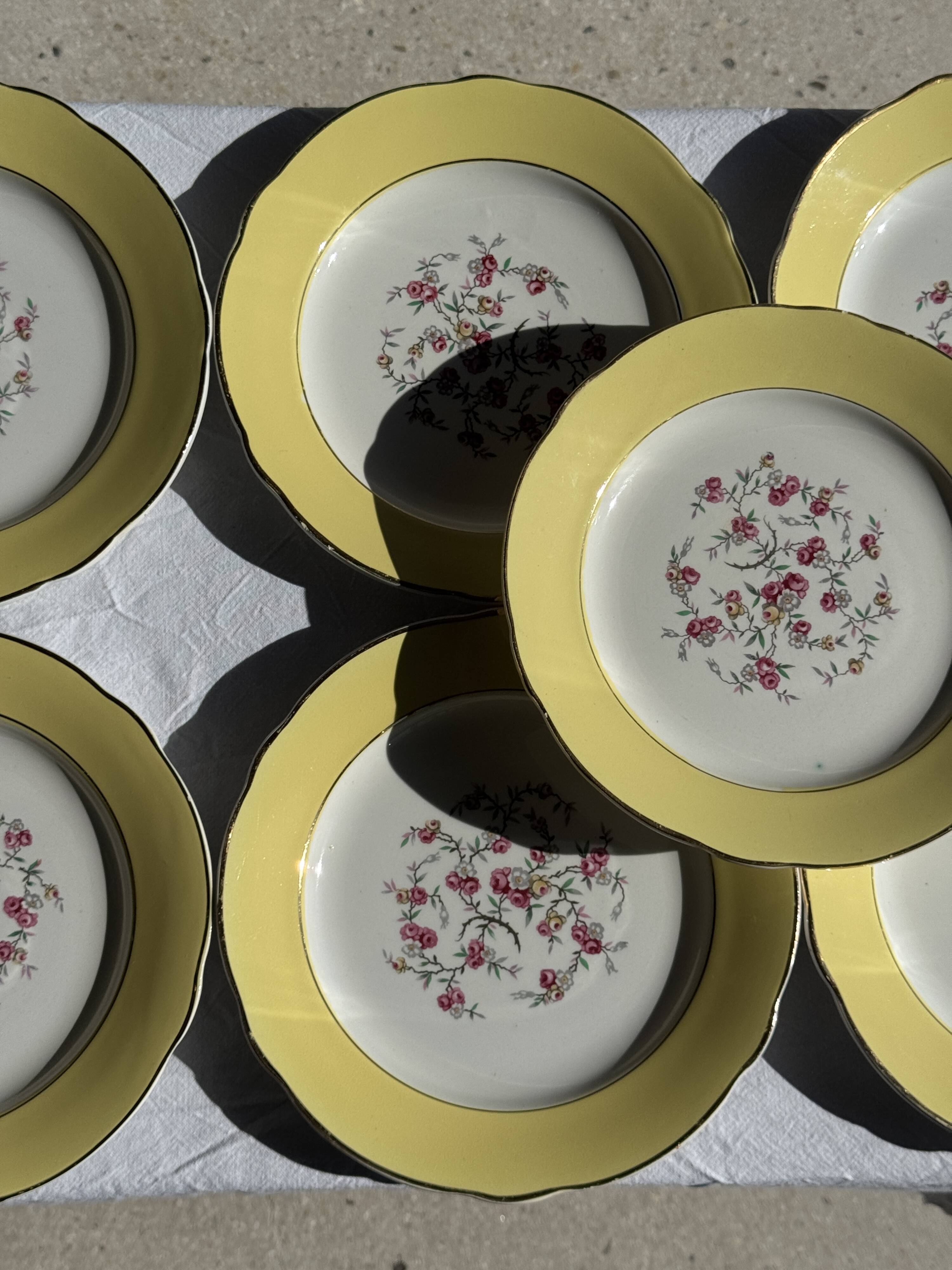 Lot de 19 grandes assiettes plates vintage jaunes fleurs roses liseré doré