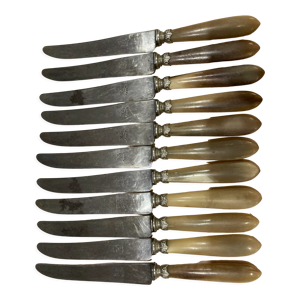 12 couteaux manche en - corne