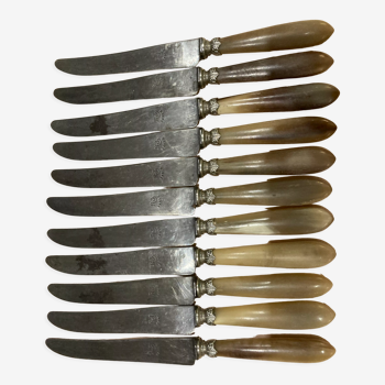 12 horn handle knives