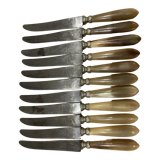 12 horn handle knives