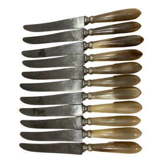 12 horn handle knives