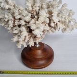 Old white coral in branches on base, 32 cm