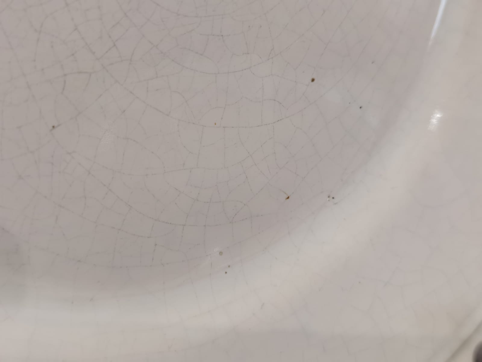 Flat plates 24.5cm Sarreguemines France