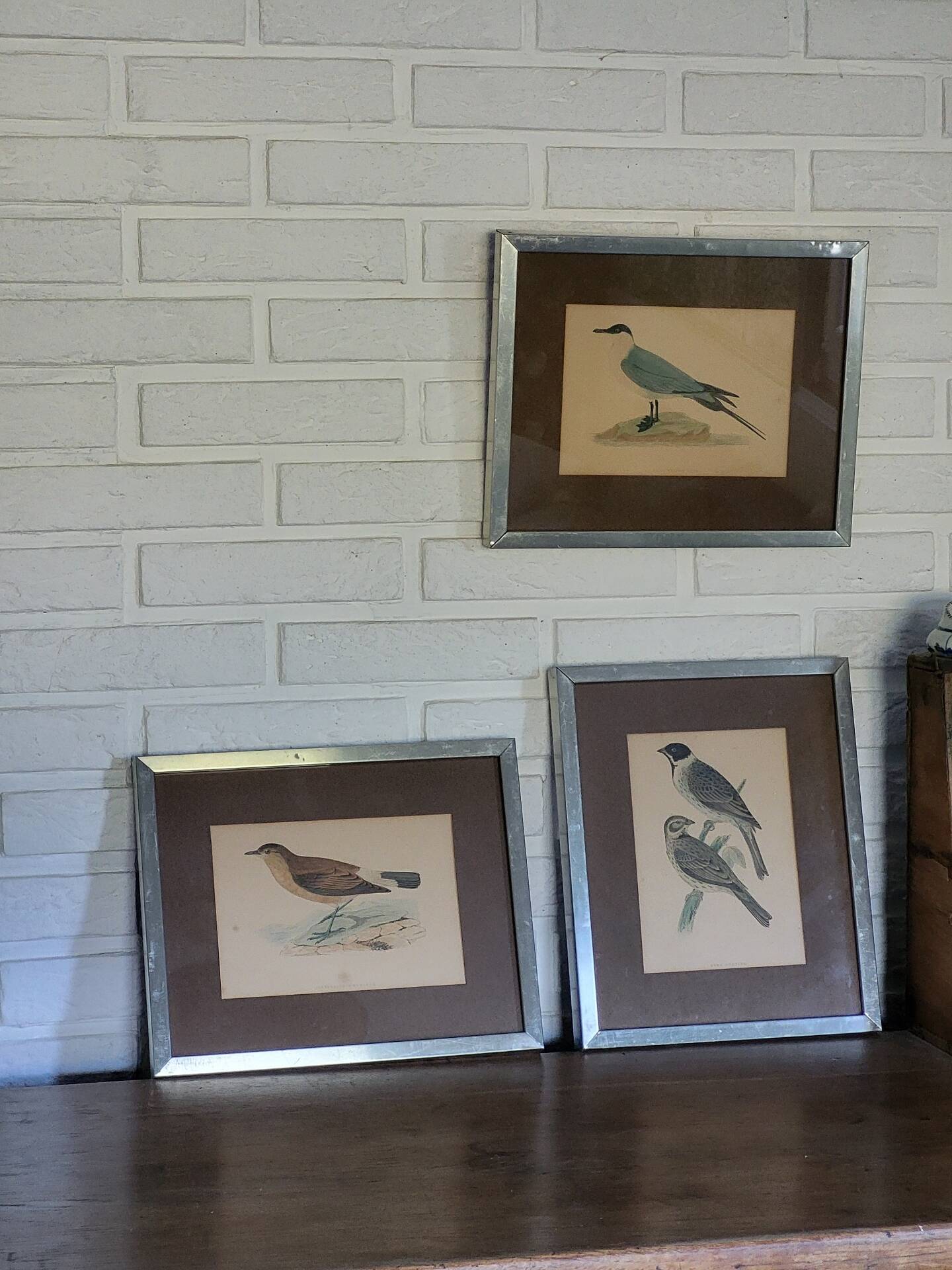 Bitterness birds