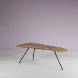 1950s Tree trunk coffee table in Aubock style from Austria