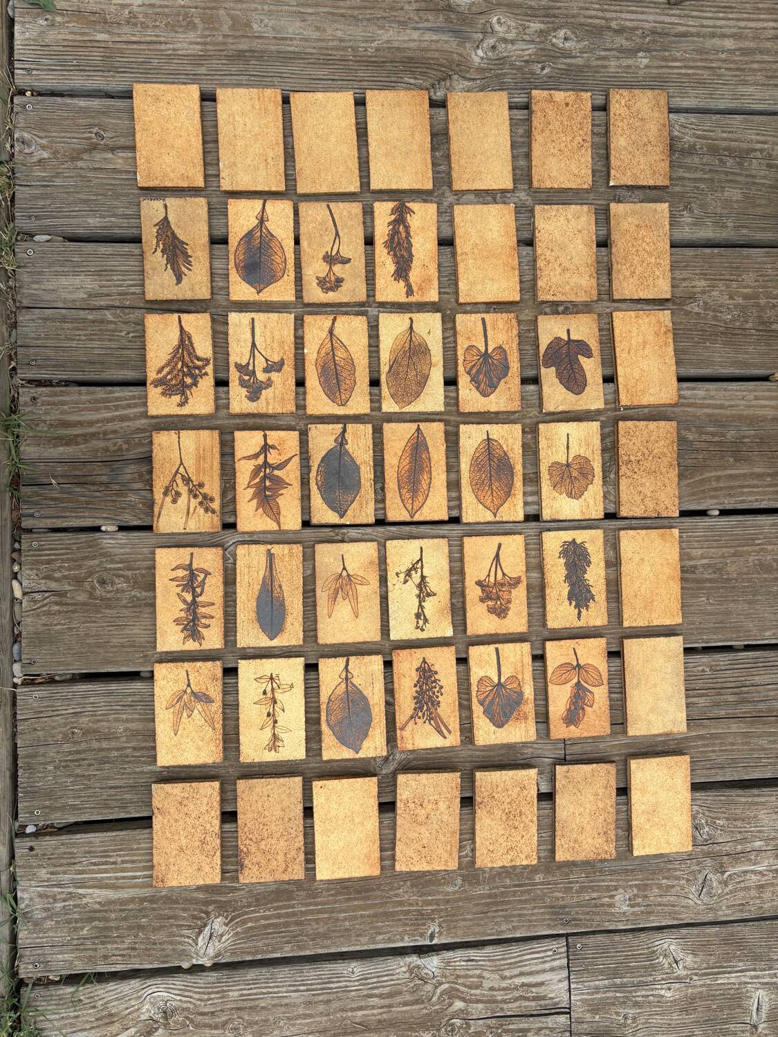 Set of 52 Vallauris herbarium tiles signed Capron