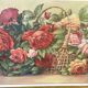 Peinture nature morte