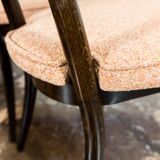 Model No. 124 Dining Chairs by Helena & Jerzy Kurmanowicz, 1960s, Poland, Set of 5