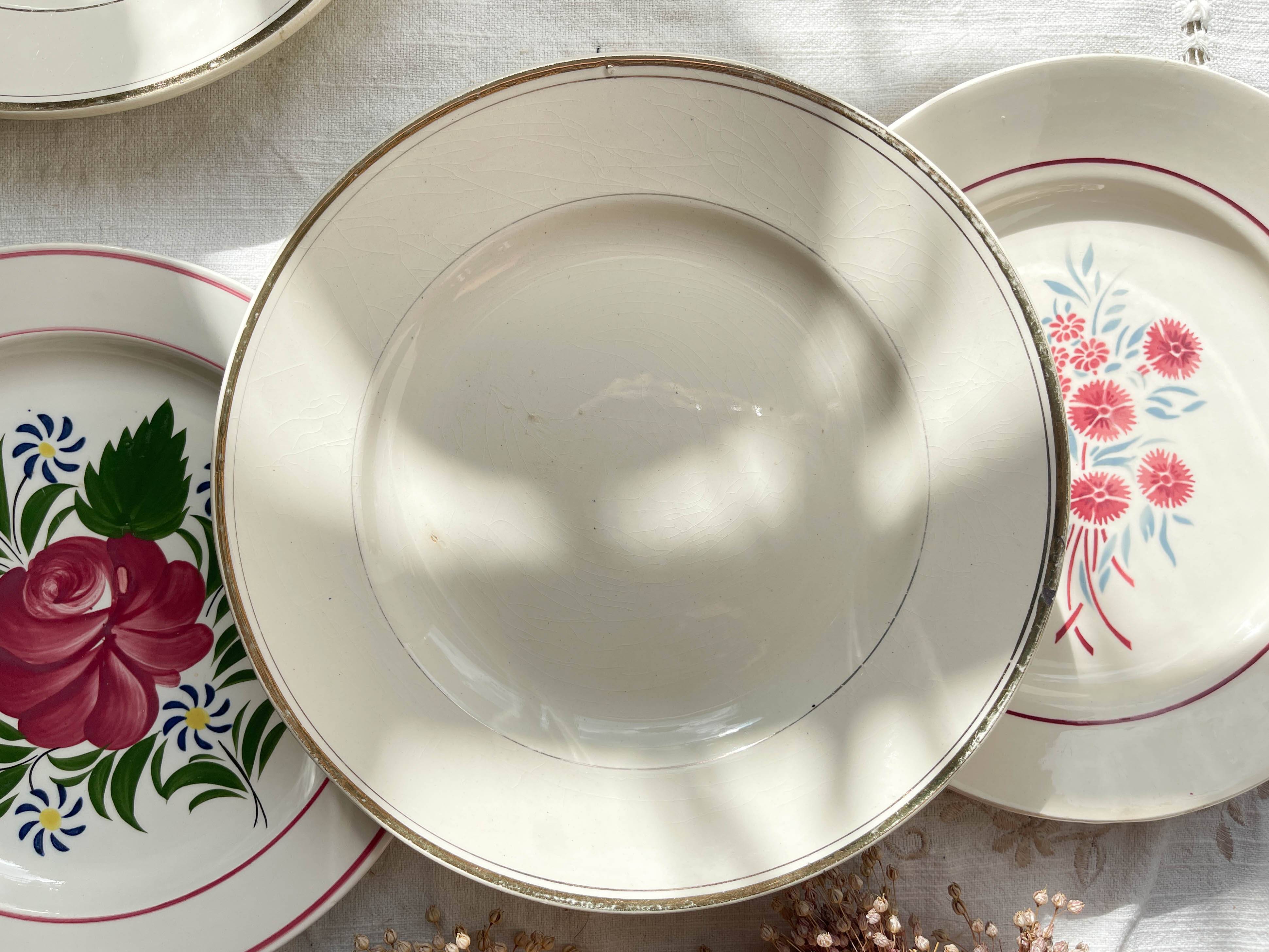 6 Mismatched Vintage Plates with Floral Pattern