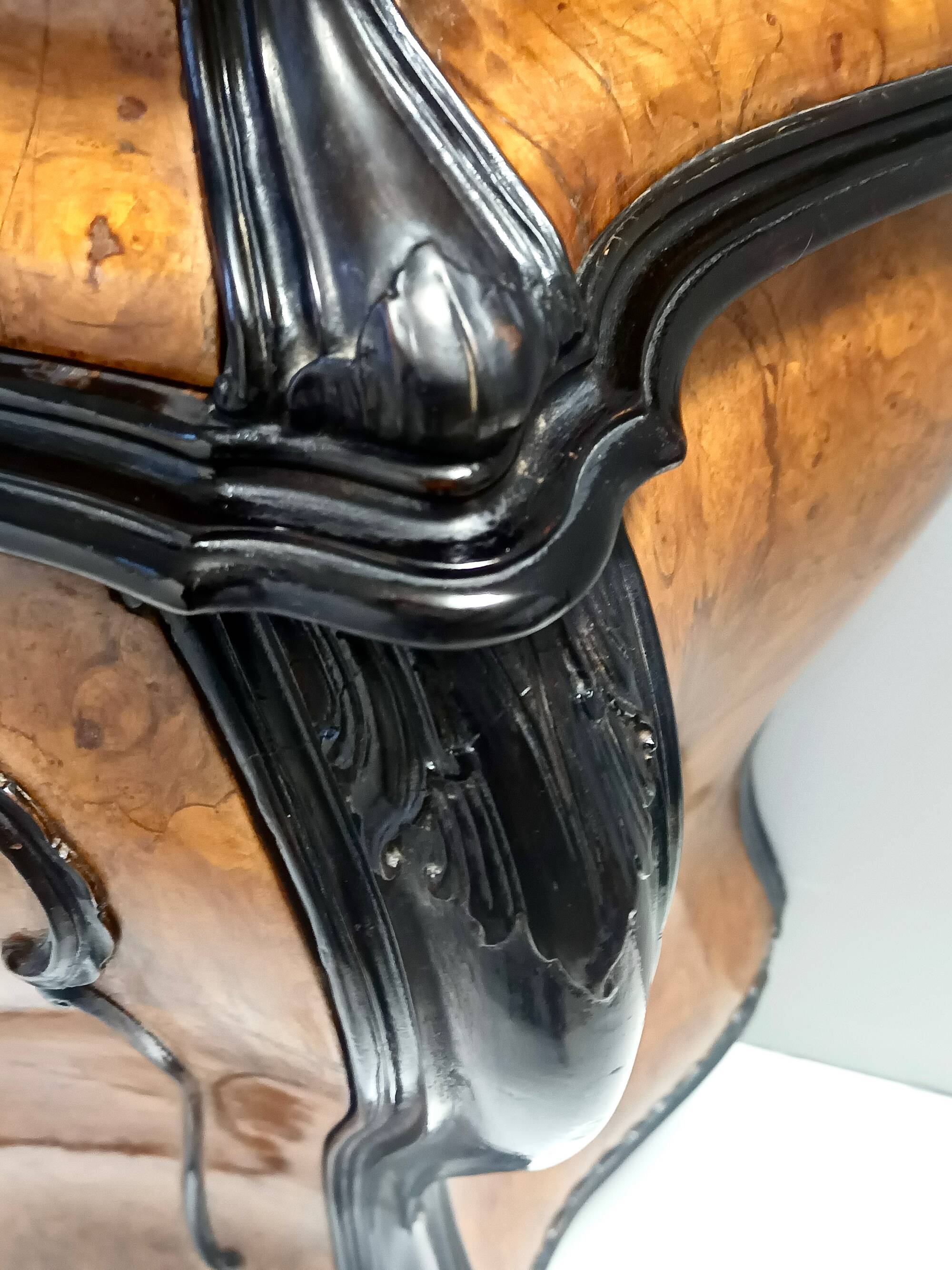 Ebonized Beech and Walnut-Root Cabinet with a Glass Top, Brianza, Italy