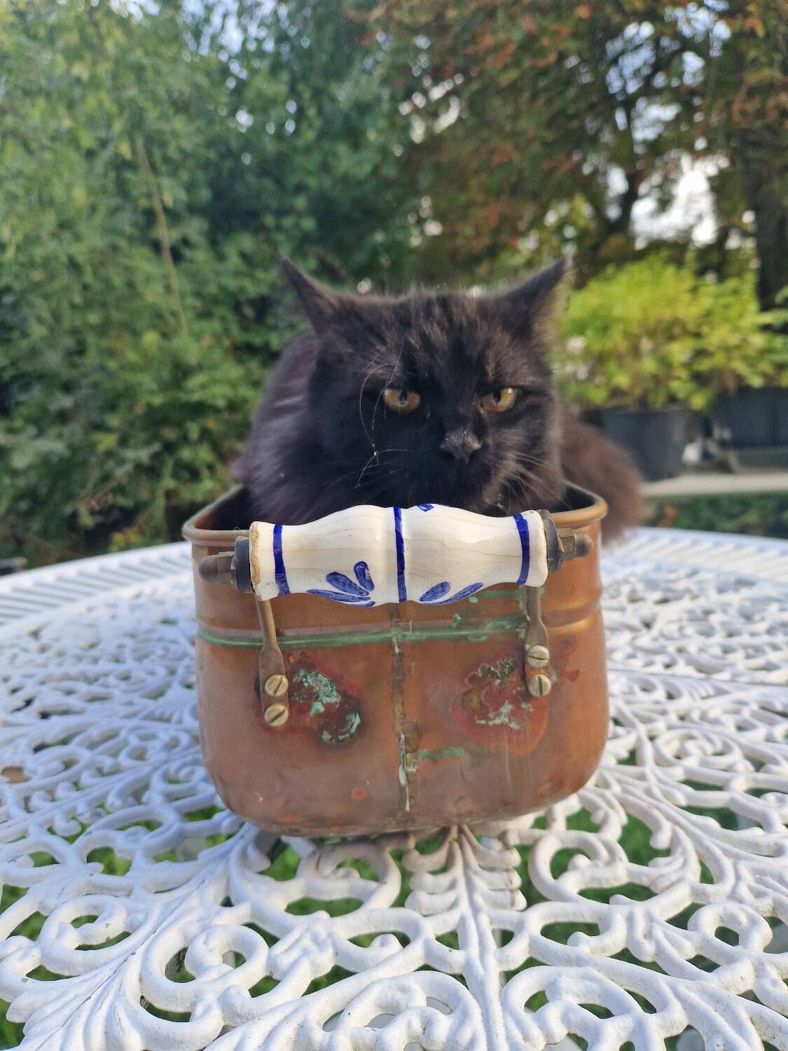 Cache-pot vintage en cuivre avec poignées en céramique et pieds griffe