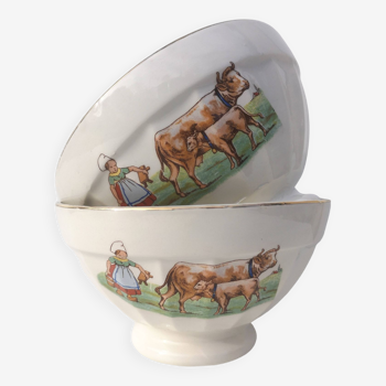 Set of 2 large old bowls (diam. 15.5 cm) Digoin Sarreguemines