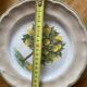 Lemon tree pattern dessert plates - Italian ceramic