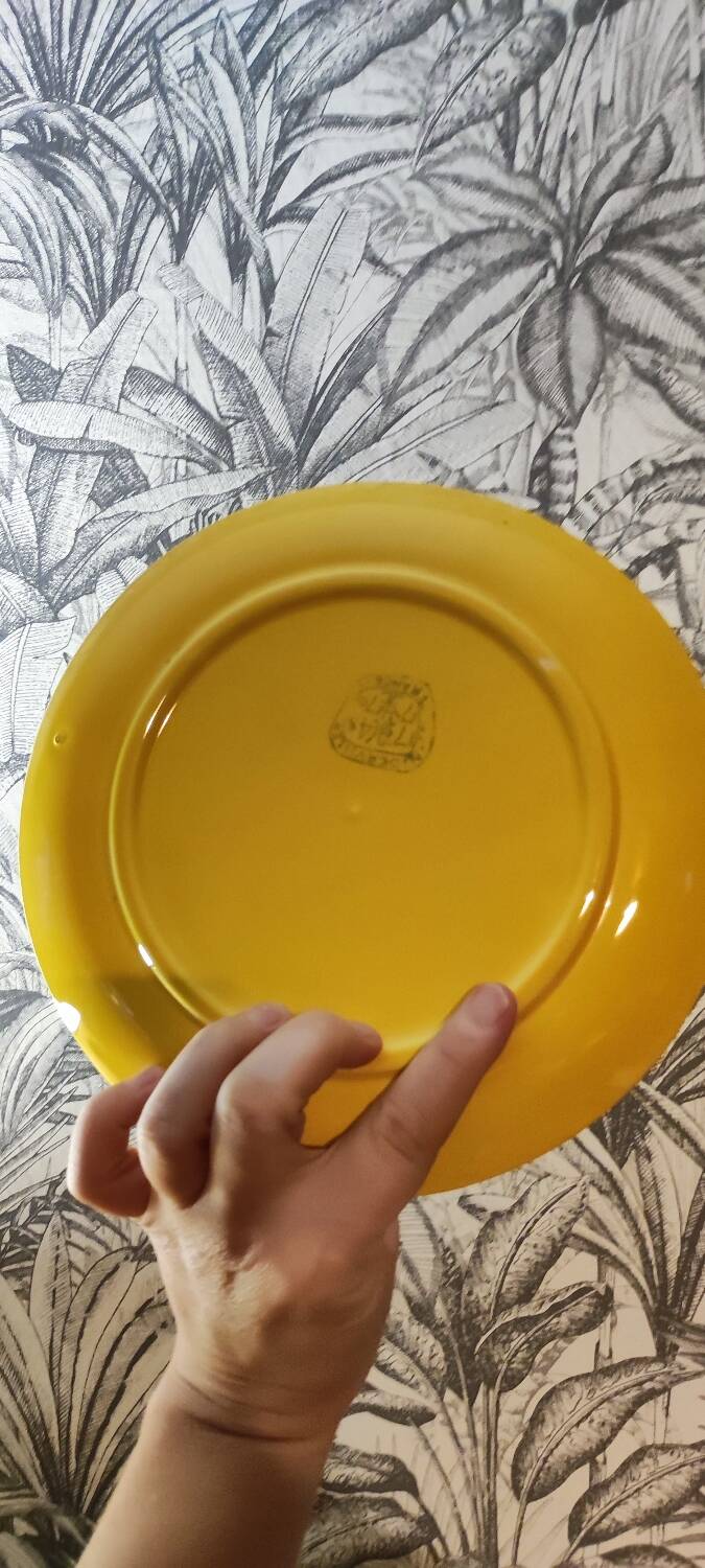 Niderviller fondue plates