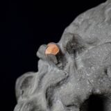 Terracotta bust of the smiling angel from Reims Cathedral with base