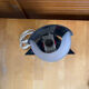 Rockabilly bedside lamp 50s design vintage plexiglass tripod