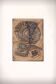 Very rare and large wall tile from Tue Poulsen 1970