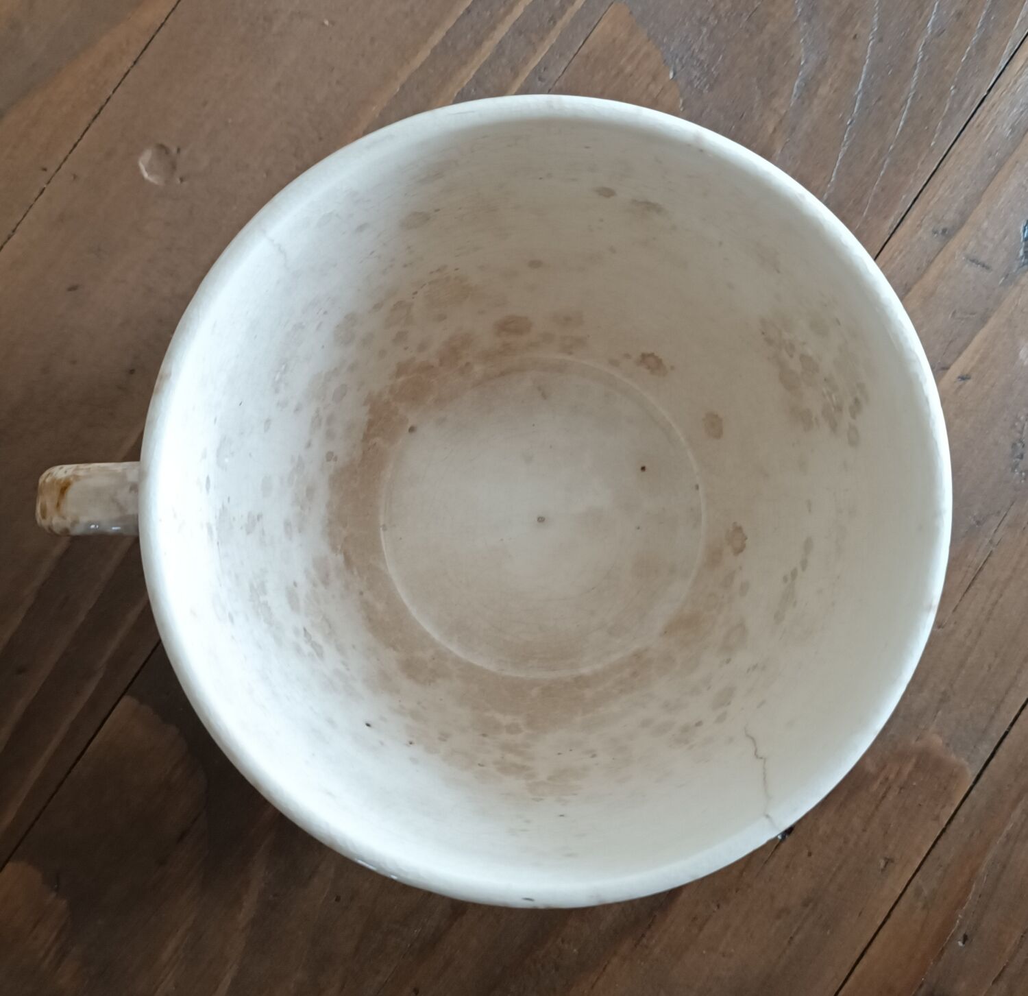 Chocolate cup Daisy Sarreguemines